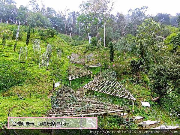 |台灣·苗栗|雅聞七里香玫瑰森林·免費景點·與上千株玫瑰的約會