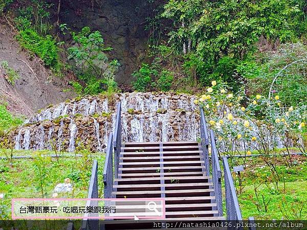 |台灣·苗栗|雅聞七里香玫瑰森林·免費景點·與上千株玫瑰的約會