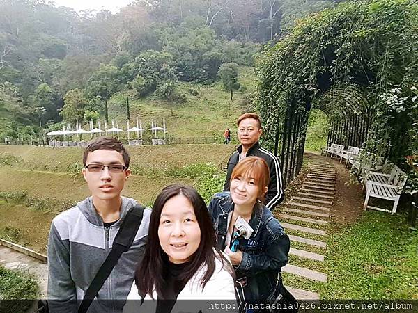 |台灣·苗栗|雅聞七里香玫瑰森林·免費景點·與上千株玫瑰的約會