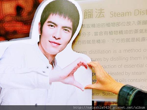 |台灣·苗栗|雅聞七里香玫瑰森林·免費景點·與上千株玫瑰的約會