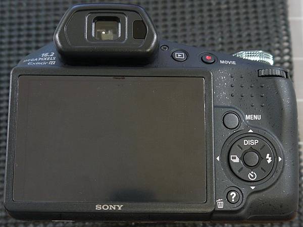 Sony HX100V