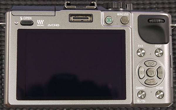 Panasonic GX1-1