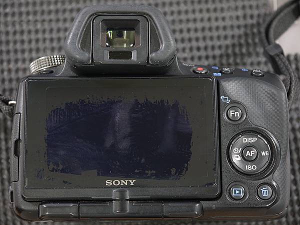 SONY a55