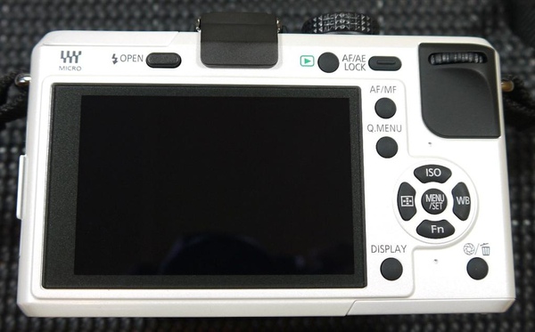 Panasonic GF1-20.JPG