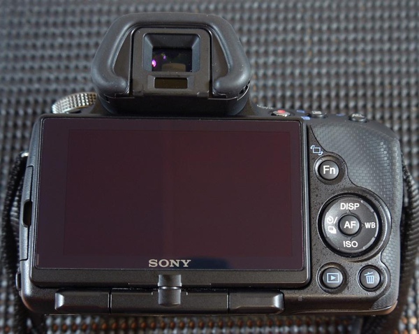 SONY a33-5.JPG