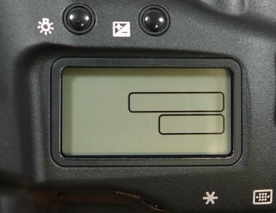 Canon 1DII-42.JPG