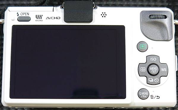 Panasonic GF2-60.JPG