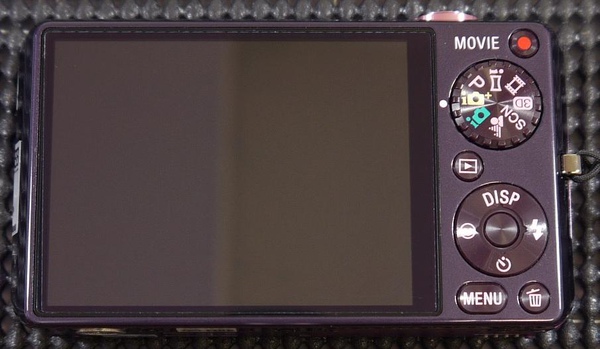 SONY WX5-2.JPG