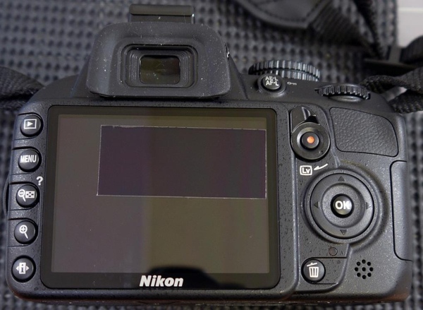 Nikon D3100.JPG