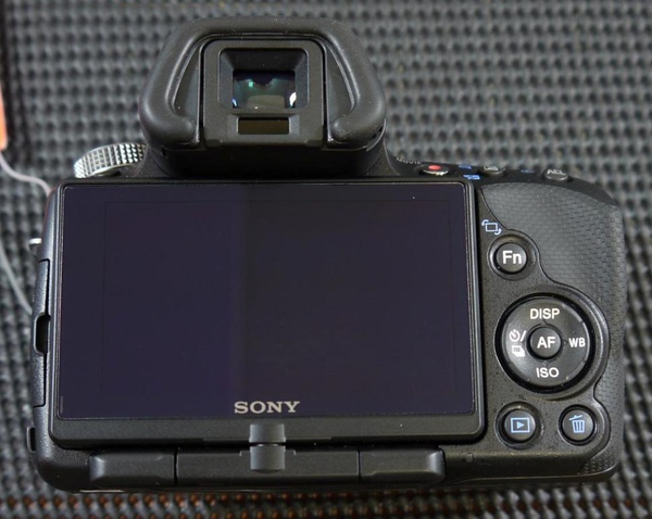 SONY a55-2.JPG