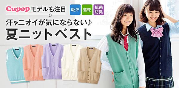 53105school-vest