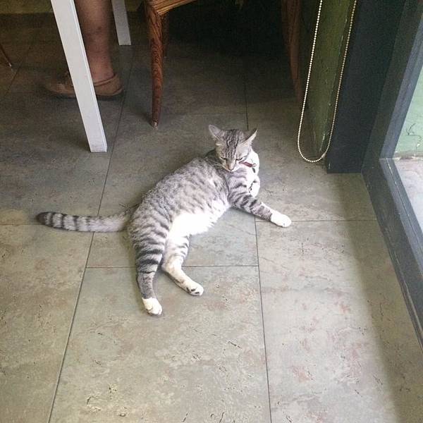 11402693_1011332688877015_7710971481930501216_n