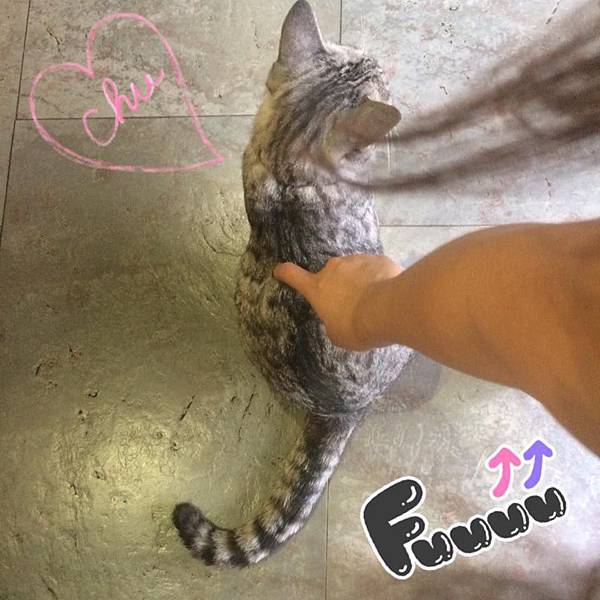 10436104_1011332365543714_8100863431559323327_n