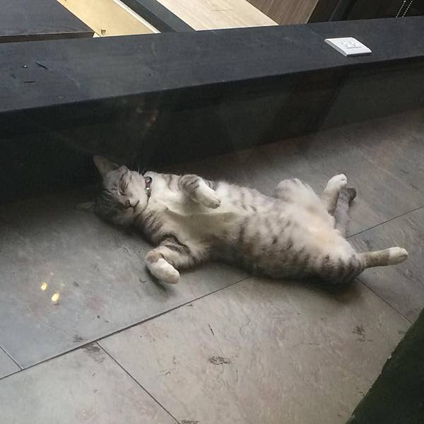 1236331_1011332432210374_404014551127483538_n