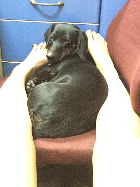 19141882_1581227081887570_735630136_n.jpg 19141882_1581227081887570_735630136_n.jpg