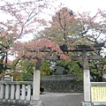 不知名神社