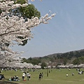 好多人在運動、野餐啊~~