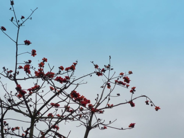 SP1000041-1.JPG SP1000041-1.JPG