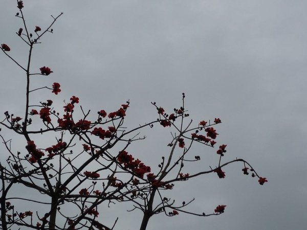 SP1000041.JPG SP1000041.JPG