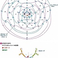 小鳥作法-日網.jpg