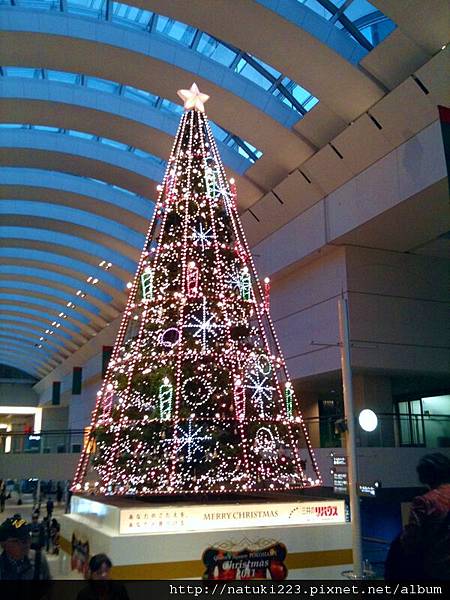 横浜でクリスマス気分