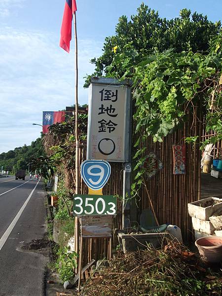 台東鹿野 倒地鈴