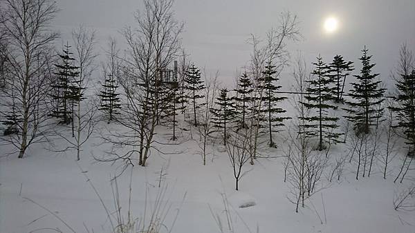 IMG_2091.JPG IMG_2091.JPG