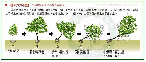 植穴大小問題