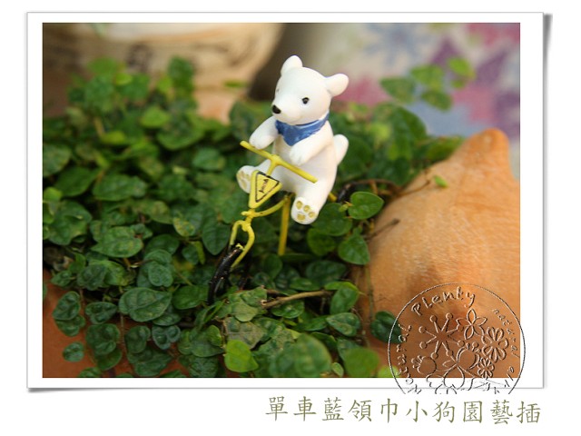 20110512迷你_08.jpg