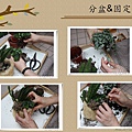 20110607絲瓜盅_08.jpg