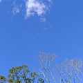 4雲淡風輕好個路觀天.JPG