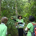 2018.8.19原民公園路觀_180820_0004.jpg