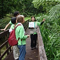 2018.8.19原民公園路觀_180820_0015.jpg