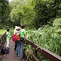 2018.8.19原民公園路觀_180820_0043.jpg