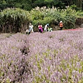 LINE_ALBUM_20221030鳴鳳古道第二次走讀_221031_141.jpg