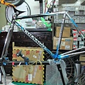 colnago master-26.JPG