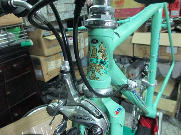 Bianchi鋼管-1.JPG Bianchi鋼管-1.JPG