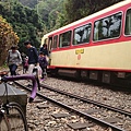 阿里山鐵路單車旅行 (10).JPG