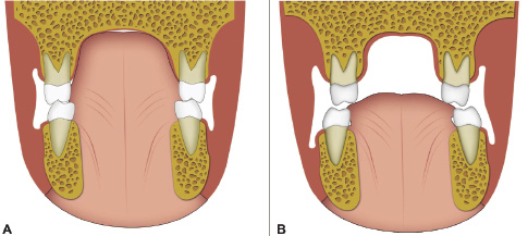 c1-fig-0015