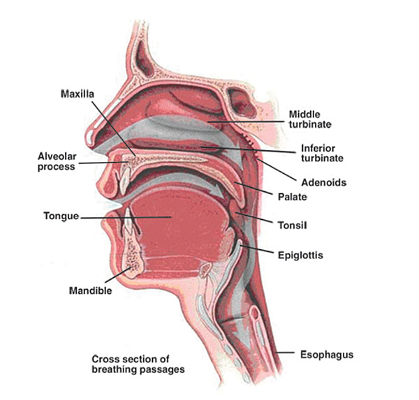 Screen shot 2014-05-27 at 下午3.03.47 Screen shot 2014-05-27 at 下午3.03.47