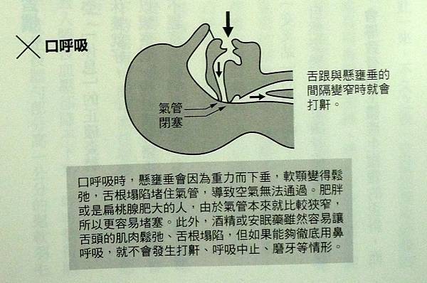 口呼吸 口呼吸