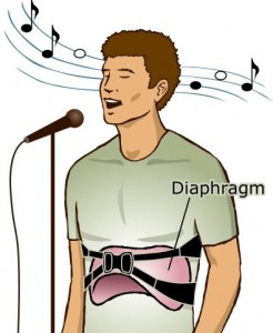 illustration-diaphragm-crop-246x300