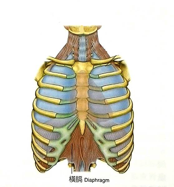 P_20150408_161342 P_20150408_161342