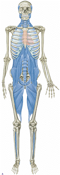 Deep-Front-Line1 Deep-Front-Line1