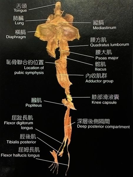 1428483378-3033857289_n 1428483378-3033857289_n