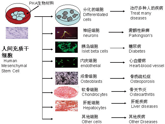 204-131114163A1247 204-131114163A1247