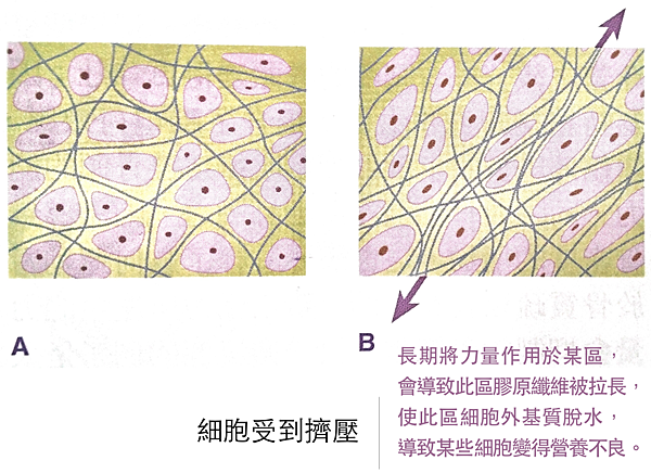 螢幕快照 2015-09-04 下午4.30.03 螢幕快照 2015-09-04 下午4.30.03