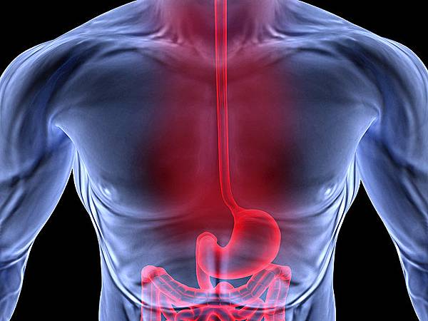 Žgaravica-i-simptomi1