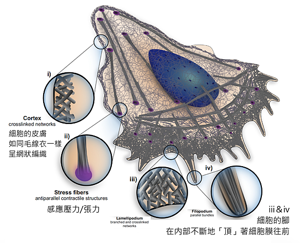 螢幕快照 2015-12-15 下午2.32.47.png