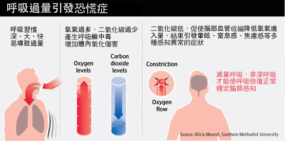 PJ-AZ255A_inthe_G_20110207195857.jpg PJ-AZ255A_inthe_G_20110207195857.jpg